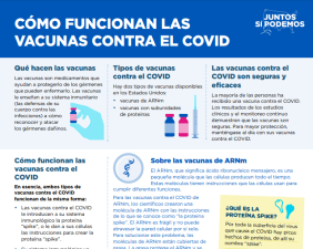 How COVID-19 Vaccines Work — Spanish